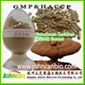 Ganoderma lucidum (Reishi) Polysaccharide/ Extract