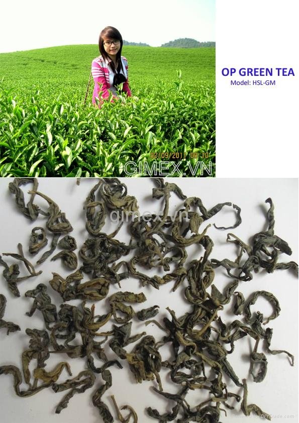OP Green tea
