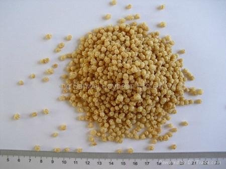 Non-GMO Textured Soy Protein-SW5001-Granular-3x3mm