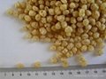 Non Gmo-Textured Soy Protein-SW5003-Granular-8x8mm 1