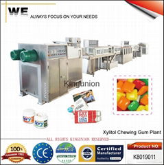 Xylitol Chewing Gum Plant (K8019011)