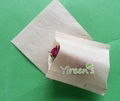  58 X 62mm Pulp Color Disposable Filter Bags No Bleach 1