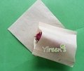  58 X 62mm Pulp Color Disposable Filter Bags No Bleach