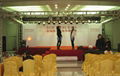 Hongkong stage lighting audio leasing 1