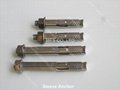 china stainless steel sleeve anchor with bolt