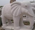 大象石雕、大象動物雕塑、石雕大象、漢白玉大象雕塑、大象雕刻