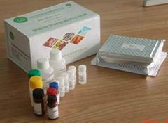 呋喃妥因檢測試劑盒