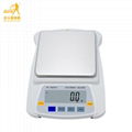 BDS-PN 0.1g precision electronic balance electronic scales