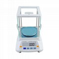 BDS-PN electronic precision balance