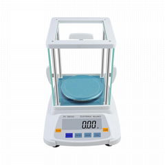 BDS-PN electronic precision balance industrial balance manufacturer 