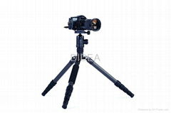 Quality Carbon Fiber Camera Tripod