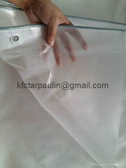  clear pe taraulin sheet cherry cover