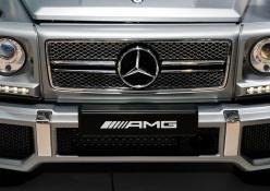 Benz G65 Amg Grille