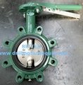 DEMCO Butterfly Valves Wafer Type Lug Type 