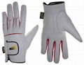 Golf Gloves