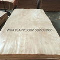 rotary cut okoume veneer backing veneer 3