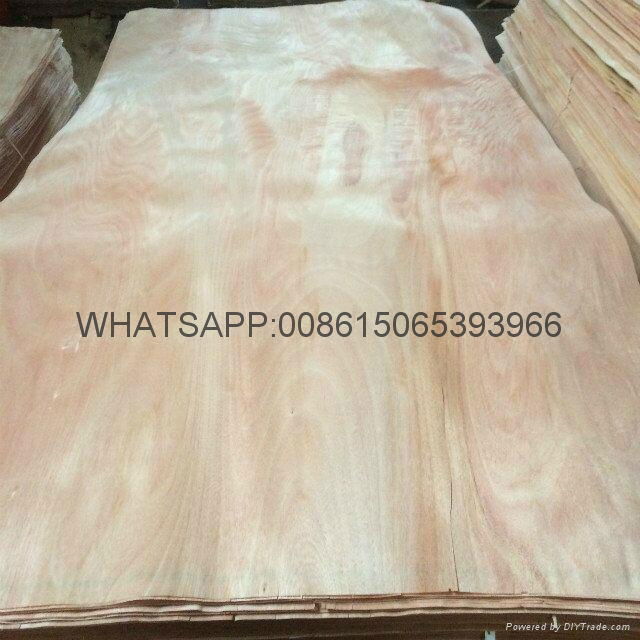 rotary cut okoume veneer backing veneer 5