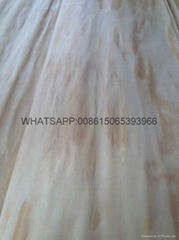 Pine Veneer Rotary Cut Pine Veneer Backing Veneer