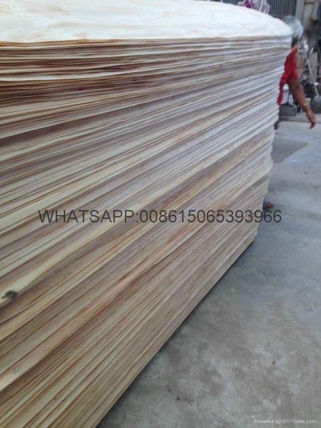  Pine Veneer Rotary Cut Pine Veneer Backing Veneer 2