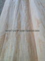  Pine Veneer Rotary Cut Pine Veneer Backing Veneer 4