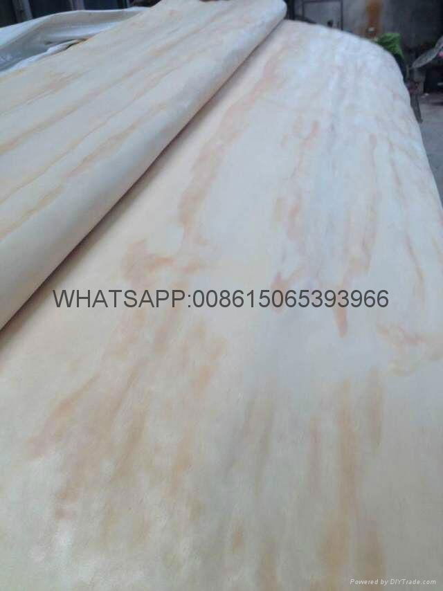  Pine Veneer Rotary Cut Pine Veneer Backing Veneer 5