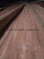 A grade Rotary Cut Sapeli Veneer Backing Veneer 1