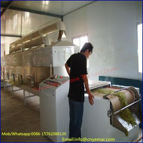 Tunnel Conveyor Microwave Tea Dryer 3