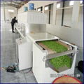 Tunnel Conveyor Microwave Tea Dryer 5