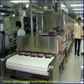 Continuous fast food heating equipment 1