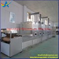 Microwave mealworm insecticidal drying equipment 5
