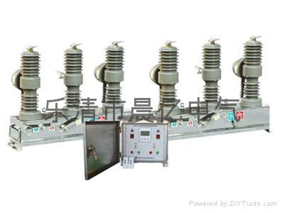 ZW32-12户外交流高压真空断路器 5