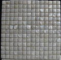 Natural Convex River Shell Mosaic for