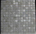 Pure White Square River Shell Mosaic for