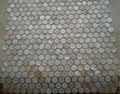 Hexagon White River shell mosaic