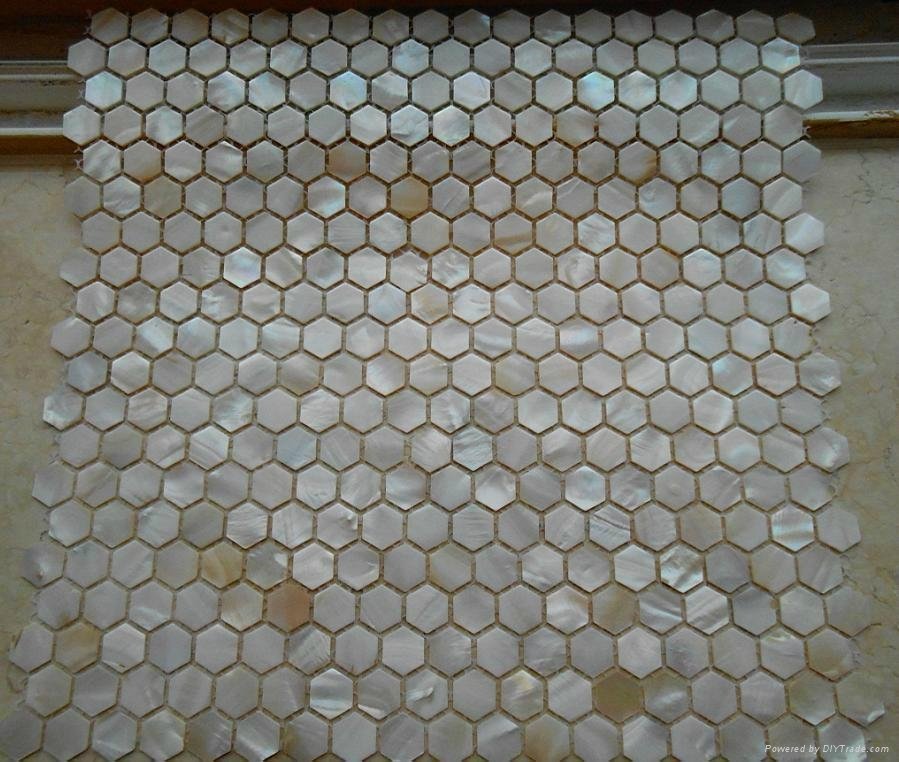 Hexagon White River shell mosaic 2