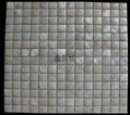 Convex Square River Shell Mosaic 1