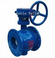 Worm drive Eccentric Half Ball Valve 1