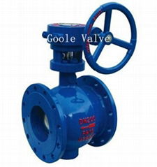 Worm drive Eccentric Half Ball Valve