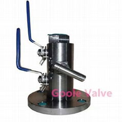 Single flange type DBB ball valve