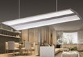 LED Pendant Linear Light 1