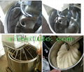 Flour Mixer 1