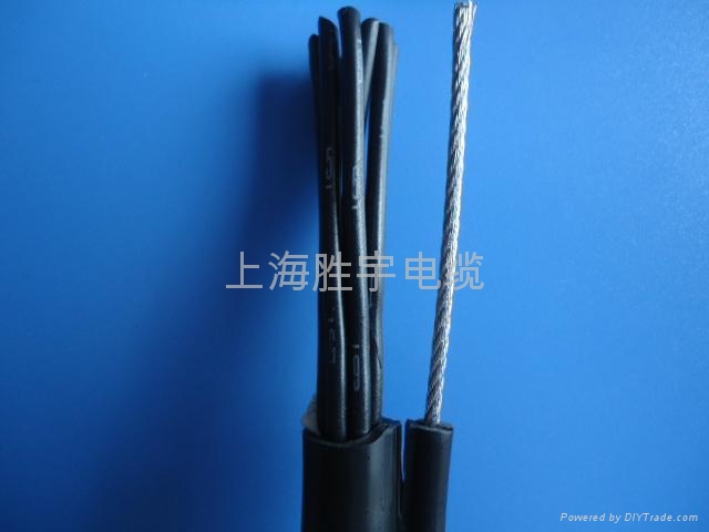 自承式钢索电缆 2