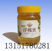 Honey bottle