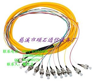 供ST電信級12芯單模束狀尾纖 4