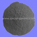 Thermal Spray Powder  1