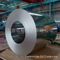 Supply galvanized products