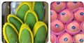 Made in China Factory Directly EPE Foam Net For Fruit and Bottle Packaging  3