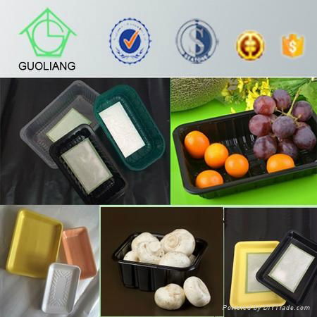 FDA Approved Food Grade Disposable Plastic Frozen Food Box Packaging 5