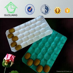 Vacuum Forming Plastic Disposable Food Tray For Kiwi Fruit Packaging