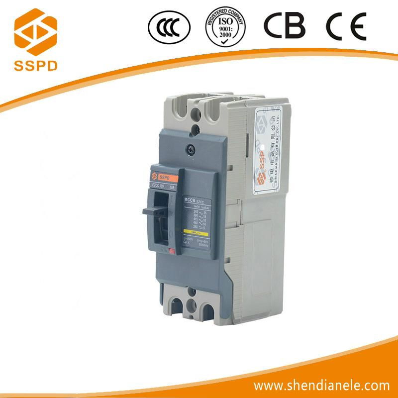 Schneider Easypact 100A 2P MCCB 2